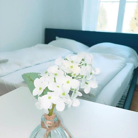 Deluxe Double Room Kp Viena Exterior foto